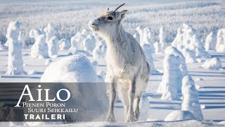 Ailo - Pienen poron suuri seikkailu