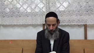 סיכום 4 הרב חיים חלפון שליט''א