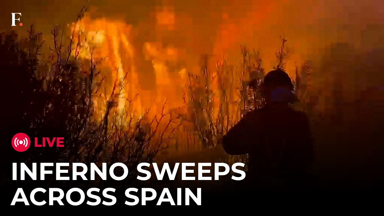 Spain Wildfire LIVE: Spain Battles Wildfire in Guadalajara Province For Sixth Straight Days