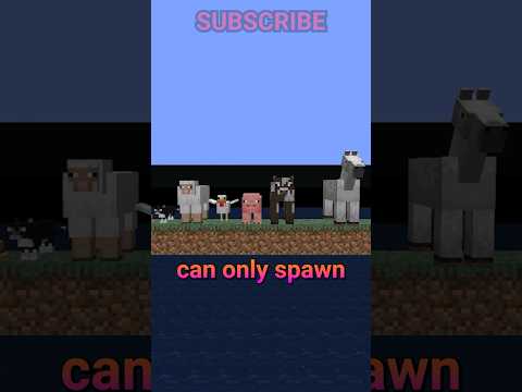 passive mob spawning is WEIRD