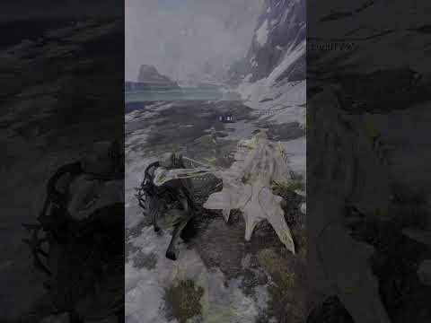 RACING A WARFRAME SPEEDSTER....