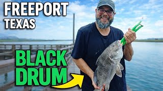 Black Drum fishing at Freeport Riverplace Pier