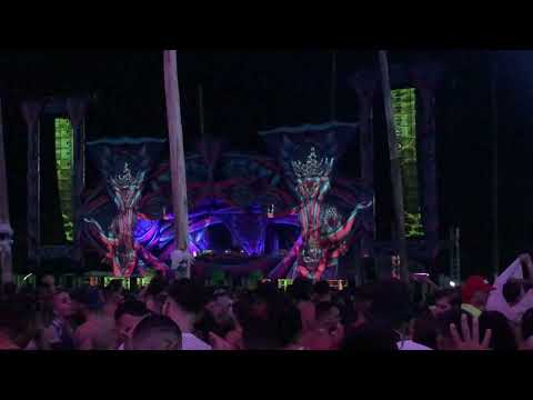 DJANTRIX - FLOR DA VIDA 2022