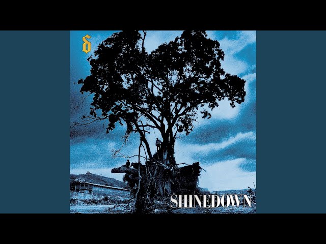 Shinedown - Fly From the Inside (Jammit) (Remix Stems)