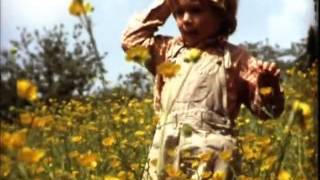 Daan - Sunchild [HQ]