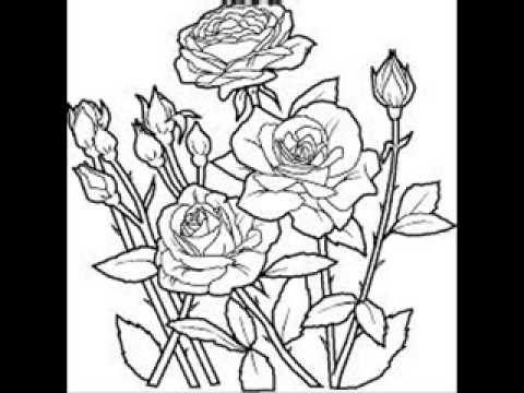 Kalibatanya Betty Kabuye