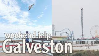 【vlog】テキサス🇺🇸ガルベストン釣り.駐在妻の休日.America. texas.galveston.fishing driving