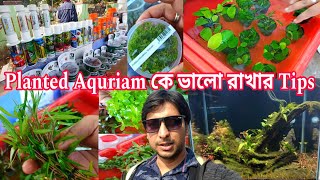 Aquarium Fish Plants | Knowledge Of Planted Aquriam | Serampore Pet Market Planted Aquriam 