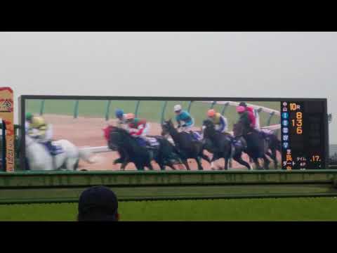 平成30年　第141回農林水産省賞典　中山大障害（j・G1）2018　＃JRA　＃競馬　＃中山競馬場