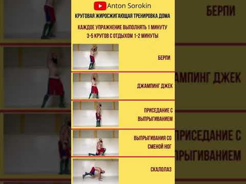 Жиросжигающая🔥 тренировка дома