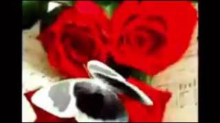 Adios adios amor grupo bronco