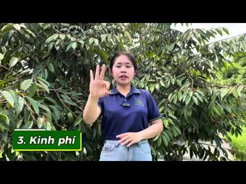 Chủ đề 7: NHỮNG LƯU Ý KHI XỬ LÝ RA HOA NGHỊCH VỤ SẦU RIÊNG