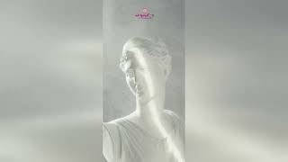 Video produs