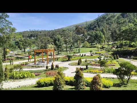 TIRTO GUMARANG, CEMOROSEWU