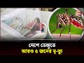 দেশে ডেঙ্গুতে আরও ৫ জনের মৃ ত্যু Dengue Dengue A