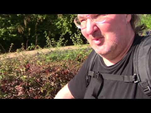 MongoTV_1326 - Del 3 - Min Rodet TO Gange SKOVTUR i Dag