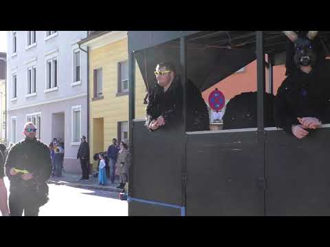 Teil 2- Rosenmontagsumzug Bad Säckingen 24.02.2020