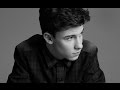 Shawn Mendes Joins The 100! "Stitches" Singer ...