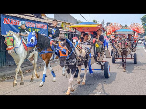 SPECIAL DELMAN RIDE | HORSE DELMAN - HORSE RIDE