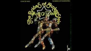 Brides Of Funkenstein - Funk Or Walk 1978 FULL ALBUM