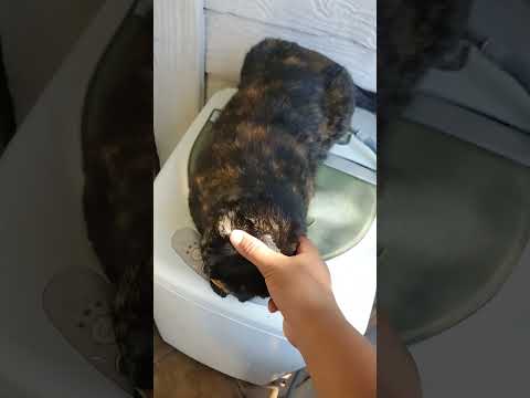 Leaving on trip...bye keesha...