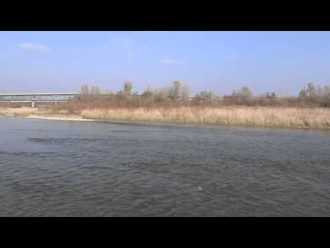 Raul Suceava  la Dornesti