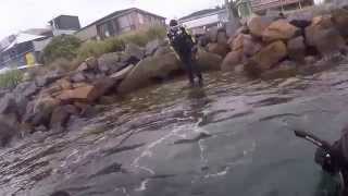 preview picture of video 'Scuba Diving - Swansea Bridge 4-4-15 (swansea NSW)'