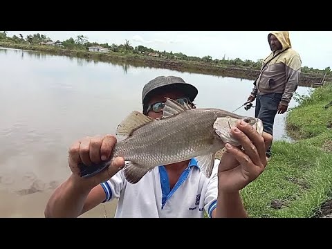 Husaini pool will open for the first time on September 14, 2025 at the BKA cup. The time is not d...