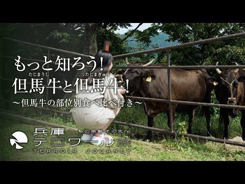 『兵庫テロワール旅』もっと知ろう！但馬牛（たじまうし）と但馬牛（たじまぎゅう）！ ～但馬牛の希少部位食べ比べ付き～