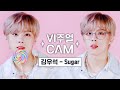 Kim Wooseok - Sugar (4K Version)