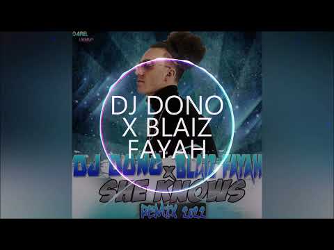 DJ DONO X BLAIZ FAYAH   DJ GLAD SHE KNOWS MAXII 2022 exported