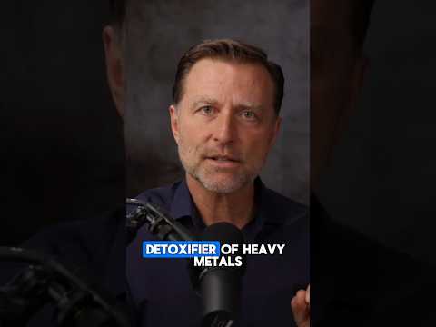 3 Foods That CLEAN Your Kidneys