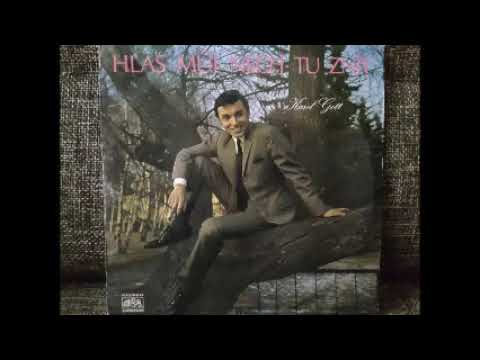 Karel Gott MP3 (4CD Collection) - фото 1 - id-p2139936166