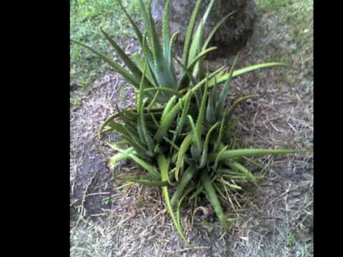 Groovemaker Contest: House Video 2