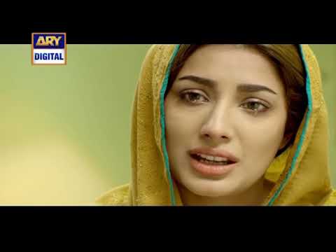Final Episode of Ary Drama Serial Dillagi Part 3.