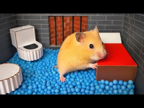 🐹 DIY Hamster entkommt dem Regenbogen-Gefängnis [HINDERNISPARCOURS]