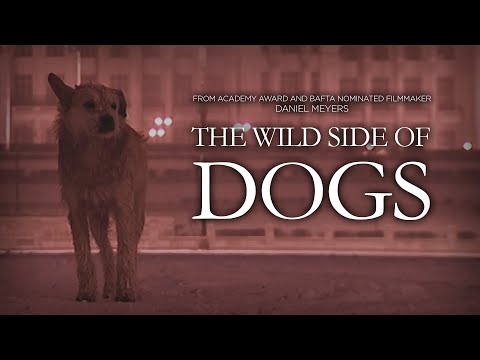 The Wild Side of Dogs