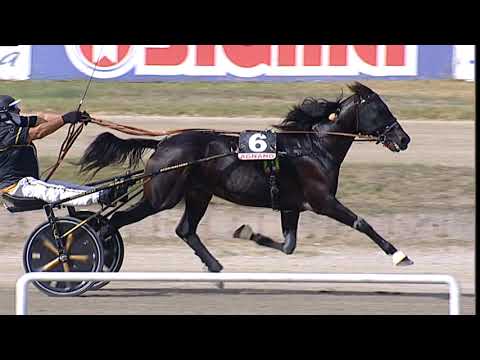 Napoli Trotto 19/09/2023 - 2ª corsa