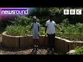 School S Secret Garden Helps Feed The Community Newsround