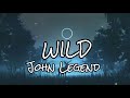 WILD _ JOHN LEGEND _ Lyrical Video
