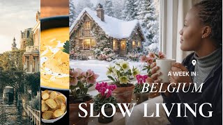 COZY WINTER DAYS IN MY LIFE|BELGIUM SLOW LIVING: Aesthetic Cooking, Train Ride Cozy Winter Essential