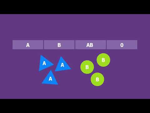 Blutgruppen – das AB0-System einfach erklärt | sofatutor