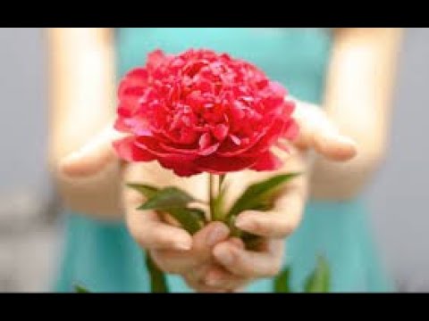 Segíts magadon, Isten is megsegít!