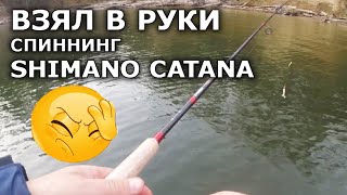 Ссылка