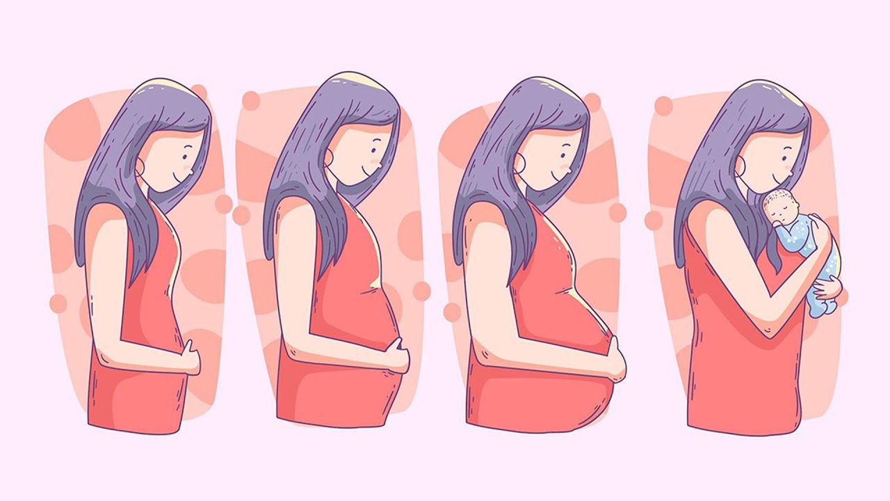 Modificaciones gravídicas - Dra. Adriana Quintero