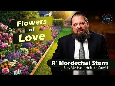 Flowers of Love | Rabbi Mordechai Stern
