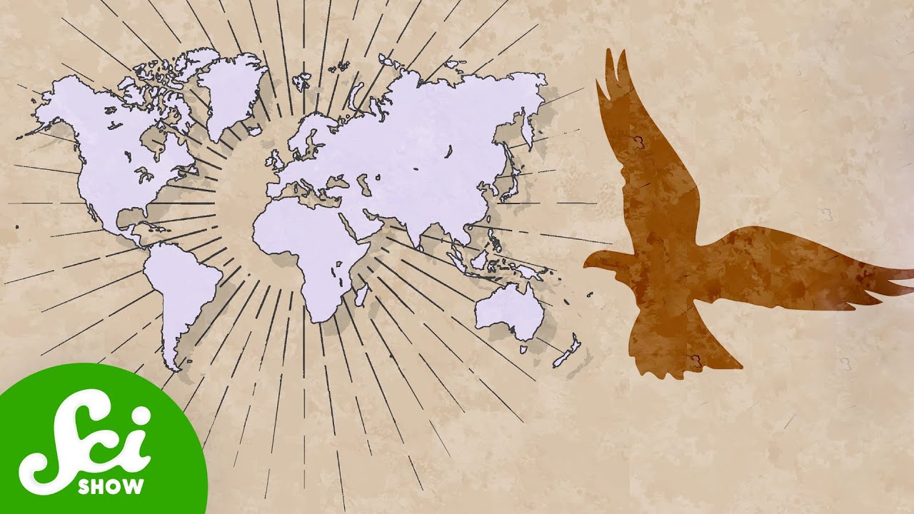 Bird Flu Should Have Killed One Billion People