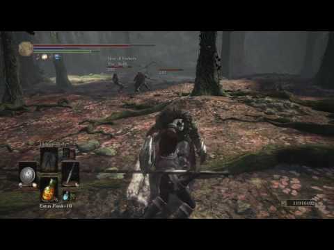 kalin's dark souls 3 co-op - ds2 falconer crab walk!