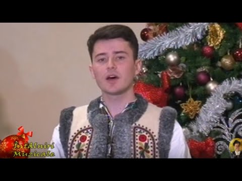 Privighetoarea oarbă - Radu Cimpoi