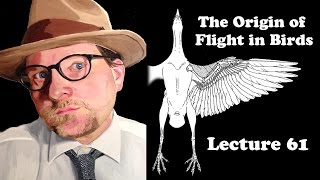 Lecture 61 The Origin of Flight in Birds